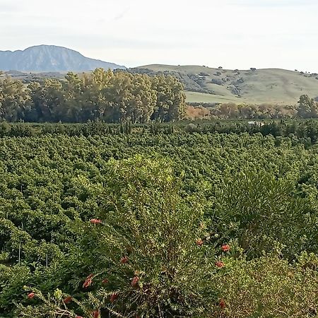 Los Dos Cedros San Pablo Esterno foto