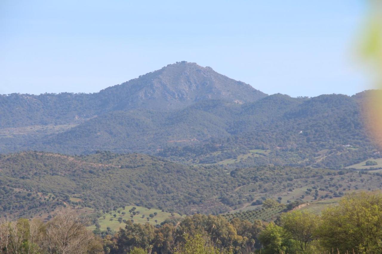 Los Dos Cedros San Pablo Esterno foto