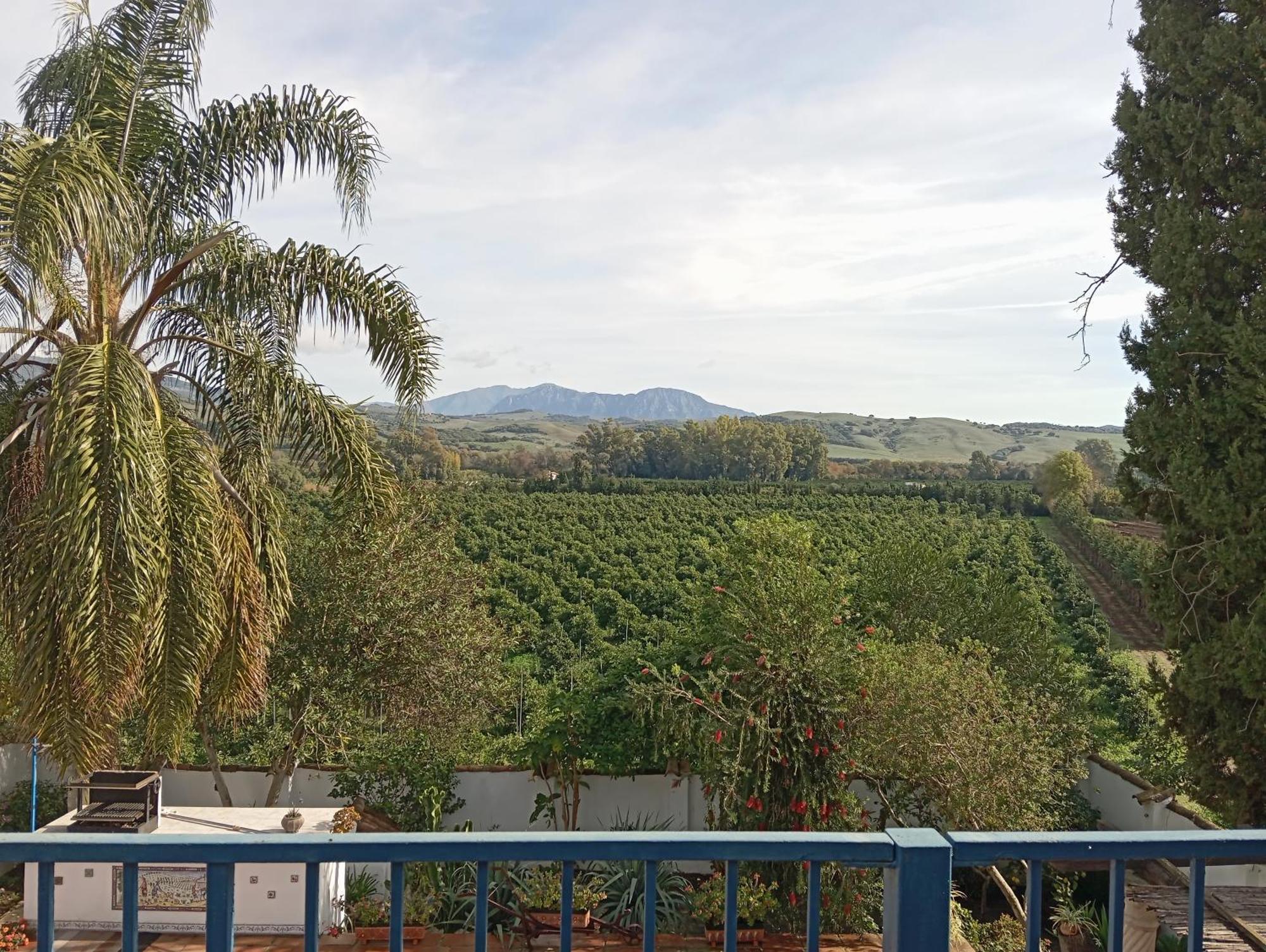 Los Dos Cedros San Pablo Esterno foto